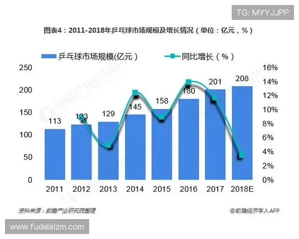 杭州羽毛球队近期状态分析与表现评估探讨