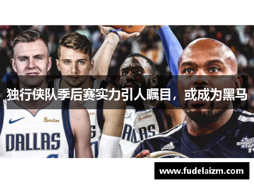 独行侠队季后赛实力引人瞩目，或成为黑马