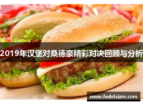 2019年汉堡对桑德豪精彩对决回顾与分析