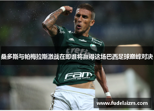 桑多斯与帕梅拉斯激战在即谁将赢得这场巴西足球巅峰对决
