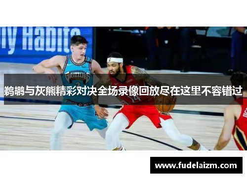 鹈鹕与灰熊精彩对决全场录像回放尽在这里不容错过